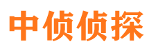 河口区市侦探调查公司